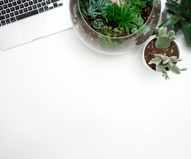 Ploovium: Irrigazione Intelligente per Risparmiare Acqua e Costi