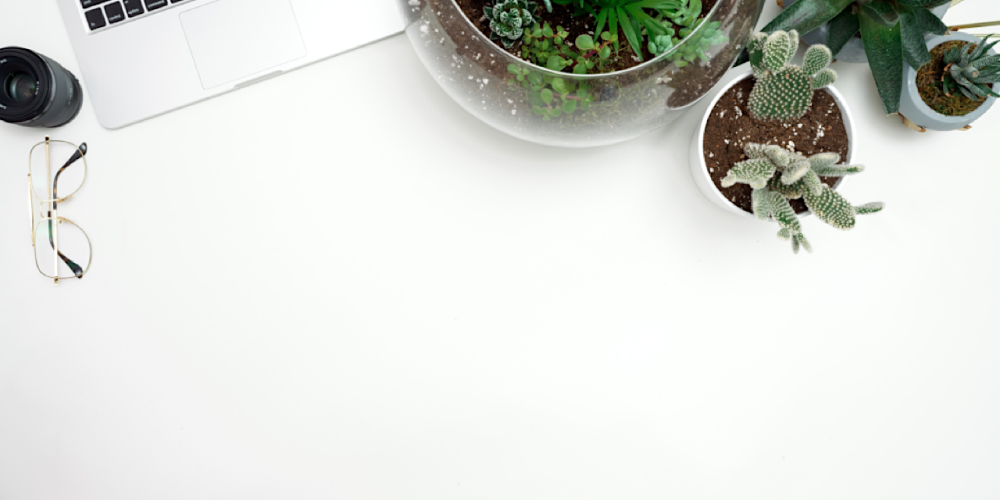 Piante da ufficio, Benefici piante, Radiazioni PC, Aloe vera, Piante grasse, Sansevieria, Ambiente di lavoro